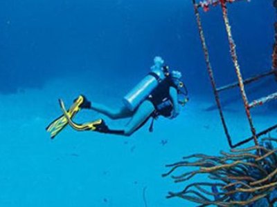 Cliquez pour découvrir toutes les photos de l'ÉTABLISSEMENT ! camping Tour Opérateur Sur Le De L'Ile D'Or photo 25