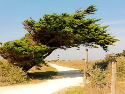 Cliquez pour découvrir toutes les photos de l'ÉTABLISSEMENT ! résidence Les Sables Vignier photo 20