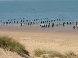 Camping Pas Cher vous présente avec son site Officiel campingpascher.fr, la Résidence Les Sables Vignier classé 3 étoiles, située sur la commune de Saint Georges D'oléron dans le département Charente-maritime (Poitou Charentes) en France. La résidence Les Sables Vignier, vous présente un hébergement de type studio de 25 m² avec climatisation et télévision. La résidence Les Sables Vignier vous propose du sam. 13 décembre au sam. 20 décembre 2025 avec un DÉPART DEMAIN pour 7 nuits à 323.4€. Cette location propose 303 dates différentes pour réserver votre séjour. Découvrez également les 3 autres gammes d'hébergements de la résidence. Les Avis clients pour la Résidence Les Sables Vignier sont de 7 sur 10. Mer, Piscine couverte, Piscine extérieure, Aire de jeux enfants, Canoë-kayak, Jet-ski, Paddle, Plongée, Randonnée, Surf, Voile, kiteSurf, Supermarché,... En savoir plus : cliquez-ICI.