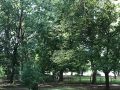 Cliquez pour découvrir toutes les photos de l'ÉTABLISSEMENT ! établissement La Nouvelle Plage photo 2
