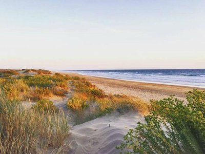 Cliquez pour découvrir toutes les photos de l'ÉTABLISSEMENT ! camping Les Gros Joncs photo 9