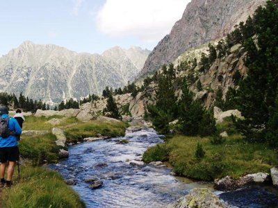 Cliquez pour découvrir toutes les photos de l'ÉTABLISSEMENT ! camping Aigüestortes Càmping Resort photo 19