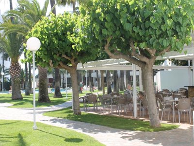 Cliquez pour découvrir toutes les photos de l'ÉTABLISSEMENT ! résidence Apartamentos Tamarindos photo 15