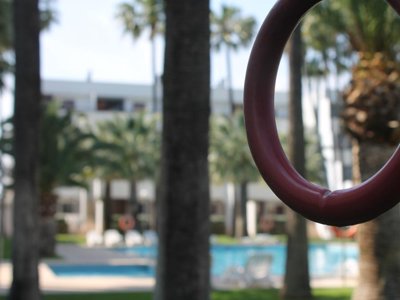 Cliquez pour découvrir toutes les photos de l'ÉTABLISSEMENT ! résidence Apartamentos Tamarindos photo 20