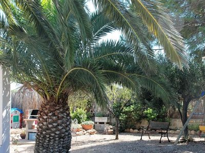 Cliquez pour découvrir toutes les photos de l'ÉTABLISSEMENT ! résidence Villas Nova Ametlla photo 14