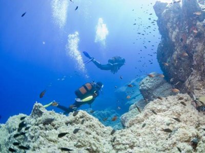 Cliquez pour découvrir toutes les photos de l'ÉTABLISSEMENT ! résidence Les Résidences Du Colombier photo 20