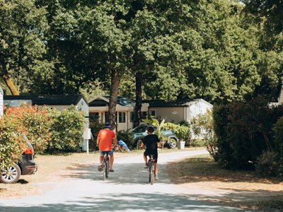 camping L’Orée Des Bois Saint-Pierre D’Oléron photo 12