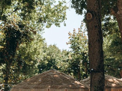 camping L’Orée Des Bois Saint-Pierre D’Oléron photo 8