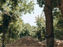 camping L’Orée Des Bois Saint-Pierre D’Oléron photo 8