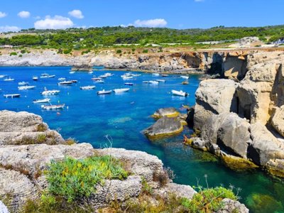 Cliquez pour découvrir toutes les photos de l'ÉTABLISSEMENT ! établissement La Scogliera *** photo 24