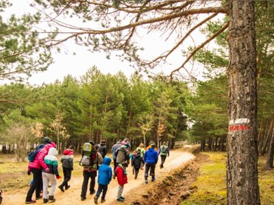 Cliquez pour découvrir toutes les photos de l'ÉTABLISSEMENT ! camping Urbión photo 25