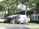 Cliquez pour découvrir toutes les photos de l'ÉTABLISSEMENT ! camping 3 Estrellas Barcelona photo 2