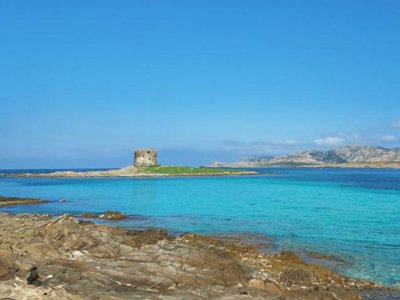 Cliquez pour découvrir toutes les photos de l'ÉTABLISSEMENT ! camping Sea Villas photo 12