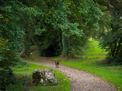 Cliquez pour découvrir toutes les photos de l'ÉTABLISSEMENT ! camping De Kerisole*** photo 17