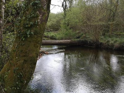 Cliquez pour découvrir toutes les photos de l'ÉTABLISSEMENT ! camping De Kerisole*** photo 20