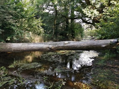 Cliquez pour découvrir toutes les photos de l'ÉTABLISSEMENT ! camping De Kerisole*** photo 21