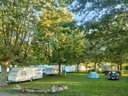 Cliquez pour découvrir toutes les photos de l'ÉTABLISSEMENT ! camping La Clé De Saone photo 5