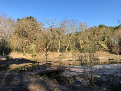 Cliquez pour découvrir toutes les photos de l'ÉTABLISSEMENT ! établissement L'Orée Des Landes photo 17