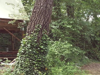 Cliquez pour découvrir toutes les photos de l'HÉBERGEMENT ! hébergement insolite - Les Chamberts, & Lodges photo 7