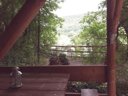 Cliquez pour découvrir toutes les photos de l'HÉBERGEMENT ! hébergement insolite - camping Les Chamberts, & Lodges photo 4