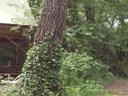 Cliquez pour découvrir toutes les photos de l'HÉBERGEMENT ! hébergement insolite - camping Les Chamberts, & Lodges photo 7