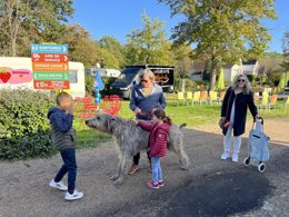 Camping Pas Cher vous présente avec son site Officiel campingpascher.fr, le Camping Maeva Escapades La Rivière Dorée classé 3 étoiles, situé sur la commune de Bagneaux Sur Loing dans le département Seine-et-marne (île De France) en France. Le camping Maeva Escapades La Rivière Dorée, vous présente un hébergement de type hébergement insolite de 10 m² pour 2 personnes. Le camping Maeva Escapades La Rivière Dorée vous propose du vendredi 28 août au vendredi 04 septembre 2026 pour 7 nuits à 438€. Cette location propose 176 dates différentes pour réserver votre séjour. Découvrez également les 20 autres gammes d'hébergements du camping. Les Avis clients pour le Camping Maeva Escapades La Rivière Dorée sont excellents avec une note moyenne de 10 sur 10. Rivière, Aire de jeux enfants, Canoë-kayak, Cyclisme, Escalade, Ping-pong, Pétanque, Randonnée, Terrain de volley-ball, Food truck, Snack/Bar,... En savoir plus : cliquez-ICI.