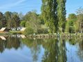 Camping Pas Cher vous présente avec son site Officiel campingpascher.fr, le Établissement Coeur D'Alsace, situé sur la commune de Harskirchen dans le département Bas-rhin (Alsace) en France. L'établissement Coeur D'Alsace vous propose un hébergement de type tente toile et bois. L'établissement vous propose 2 autres types d'hébergements. Découvrez tous nos séjours à petits prix dans la commune et aux alentours de Harskirchen du département : Bas-rhin (Alsace).... En savoir plus : cliquez-ICI.