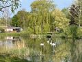établissement Coeur D'Alsace photo 2