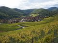 établissement Coeur D'Alsace photo 3