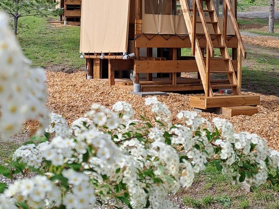 Camping Pas Cher vous présente avec son site Officiel campingpascher.fr, le Camping Sunêlia La Presqu'île classé 4 étoiles, situé sur la commune de Prunieres dans le département Hautes-alpes (Provence Alpes Côte D'azur) en France. Le camping Sunêlia La Presqu'île, vous présente un hébergement de type tente. Le camping Sunêlia La Presqu'île vous propose du dimanche 21 juin au dimanche 28 juin 2026, en promotion à -19% pour 7 nuits à 188,73 € au lieu de 233,0 € soit une Économie de 44,27 €. Cette location propose 82 dates différentes pour réserver votre séjour. Découvrez également les 17 autres gammes d'hébergements du camping. Les Avis clients pour le Camping Sunêlia La Presqu'île sont excellents avec une note moyenne de 8 sur 10. Lac, Piscine extérieure, Animations familiales, Club enfants, Aire de jeux enfants, Canoë-kayak, Location de bateaux, Paddle, Ping-pong, Pétanque, Sports nautiques, Terrain de beach-volley, Terrain multisports, Bar, Dépôt de pain, Plats à emporter, Restaurant, Snack/Bar,... En savoir plus : cliquez-ICI.
