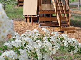 Camping Pas Cher vous présente avec son site Officiel campingpascher.fr, le Camping Sunêlia La Presqu'île classé 4 étoiles, situé sur la commune de Prunieres dans le département Hautes-alpes (Provence Alpes Côte D'azur) en France. Le camping Sunêlia La Presqu'île, vous présente un hébergement de type tente. Le camping Sunêlia La Presqu'île vous propose du dimanche 21 juin au dimanche 28 juin 2026, en promotion à -19% pour 7 nuits à 188,73 € au lieu de 233,0 € soit une Économie de 44,27 €. Cette location propose 121 dates différentes pour réserver votre séjour. Découvrez également les 17 autres gammes d'hébergements du camping. Les Avis clients pour le Camping Sunêlia La Presqu'île sont excellents avec une note moyenne de 8 sur 10. Lac, Piscine extérieure, Animations familiales, Club enfants, Aire de jeux enfants, Canoë-kayak, Location de bateaux, Paddle, Ping-pong, Pétanque, Sports nautiques, Terrain de beach-volley, Terrain multisports, Bar, Dépôt de pain, Plats à emporter, Restaurant, Snack/Bar,... En savoir plus : cliquez-ICI.