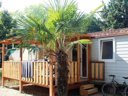 camping Village Costa Verde photo 5
