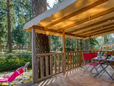 Cliquez pour découvrir toutes les photos de l'HÉBERGEMENT ! mobil-home - Sunelia - Le Sequoia photo 2