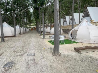 Cliquez pour découvrir toutes les photos de l'ÉTABLISSEMENT ! camping La Escalada photo 6