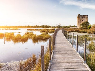 Cliquez pour découvrir toutes les photos de l'ÉTABLISSEMENT ! village vacances Club Belambra Les Salins photo 25