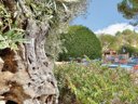 Camping Pas Cher vous présente avec son site Officiel campingpascher.fr, le Village vacances Club Belambra Les Terrasses De St Paul-de-Vence, situé sur la commune de La Colle Sur Loup dans le département Alpes-maritimes (Provence Alpes Côte D'azur) en France. Le village vacances Club Belambra Les Terrasses De St Paul-de-Vence vous propose un hébergement de type bungalow de 35 m² pour 2 personnes avec climatisation (télévision). L'établissement vous propose 5 autres types d'hébergements. Découvrez tous nos séjours à petits prix dans la commune et aux alentours de La Colle Sur Loup du département : Alpes-maritimes (Provence Alpes Côte D'azur). Les Avis clients pour le Village vacances Club Belambra Les Terrasses De St Paul-de-Vence sont de 7 sur 10. Piscine chauffée, Piscine extérieure, Aire de jeux enfants, Court de tennis, Ping-pong, Piscine, Pétanque, Terrain de beach-volley, Terrain multisports, Bar, Boulangerie, Bureau de tabac, Dépôt de pain, Restaurant, Snack/Bar, Station-service, Supermarché,... En savoir plus : cliquez-ICI.