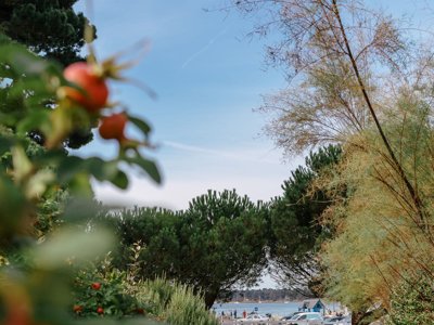 village vacances VVF Villages Larmor Baden photo 18