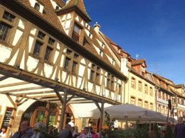 Camping Pas Cher vous présente avec son site Officiel campingpascher.fr, le Village vacances VVF Villages - La Plaine D'Alsace - Obernai classé 3 étoiles, situé sur la commune de Obernai dans le département Bas-rhin (Alsace) en France. Le village vacances VVF Villages - La Plaine D'Alsace - Obernai, vous présente un hébergement de type appartement de 46 m² et télévision. Le village vacances VVF Villages - La Plaine D'Alsace - Obernai vous propose du vendredi 25 septembre au vendredi 02 octobre 2026, en promotion à -15% pour 7 nuits à 452,20 € au lieu de 532,0 € soit une Économie de 79,80 €. Cette location propose 82 dates différentes pour réserver votre séjour. Découvrez également les 6 autres gammes d'hébergements du village vacances. Les Avis clients pour le Village vacances VVF Villages - La Plaine D'Alsace - Obernai sont excellents avec une note moyenne de 8 sur 10. Piscine chauffée, Piscine couverte, Animations familiales, Club ados, Club enfants, Aire de jeux enfants, Baby-foot, Court de tennis, Cyclisme, Ping-pong, Piscine, Pétanque, Structure gonflable enfants, Terrain de volley-ball, Terrain multisports, Bar, Boulangerie, Restaurant, Supermarché, Épicerie,... En savoir plus : cliquez-ICI.