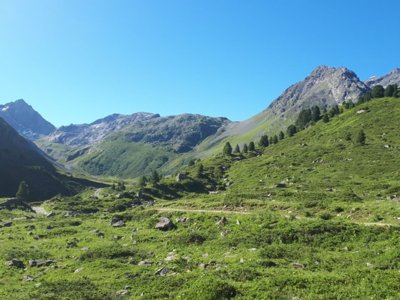 Cliquez pour découvrir toutes les photos de l'ÉTABLISSEMENT ! établissement Vacances Le Fontany photo 3