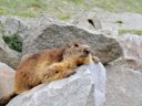 Cliquez pour découvrir toutes les photos de l'ÉTABLISSEMENT ! établissement Vacances Le Fontany photo 4
