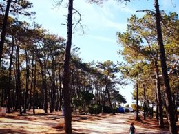 Camping Pas Cher vous présente avec son site Officiel campingpascher.fr, le Camping Orbitur Sagres classé 3 étoiles, situé sur la commune de Sagres dans le département Algarve - Portugal (Algarve) au Portugal. Le camping Orbitur Sagres, vous présente un hébergement de type mobil-home. Le camping Orbitur Sagres vous propose du sam. 13 décembre au sam. 20 décembre 2025 avec un DÉPART DEMAIN pour 7 nuits à 371€. Cette location propose 13 dates différentes pour réserver votre séjour. Découvrez également les 2 autres gammes d'hébergements du camping. Les Avis clients pour le Camping Orbitur Sagres sont de 7 sur 10. Mer, Aire de jeux enfants, Bar, Restaurant, Épicerie,... En savoir plus : cliquez-ICI.