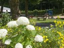 Cliquez pour découvrir toutes les photos de l'ÉTABLISSEMENT ! établissement Le Florenville photo 11