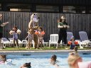 Cliquez pour découvrir toutes les photos de l'ÉTABLISSEMENT ! établissement Le Florenville photo 7