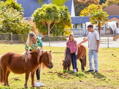 camping Les Jardins Du Morbihan photo 13