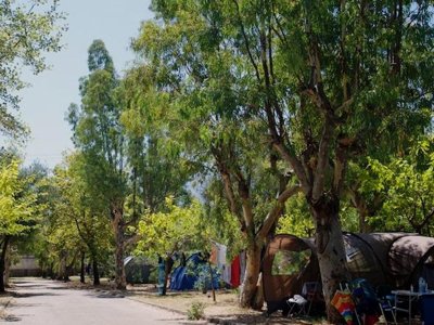 Cliquez pour découvrir toutes les photos de l'ÉTABLISSEMENT ! camping Karavomilos Beach photo 16