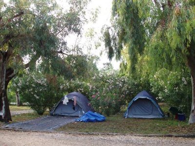 Cliquez pour découvrir toutes les photos de l'ÉTABLISSEMENT ! camping Karavomilos Beach photo 20