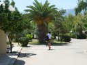 Cliquez pour découvrir toutes les photos de l'ÉTABLISSEMENT ! camping Karavomilos Beach photo 8