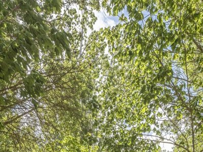 Cliquez pour découvrir toutes les photos de l'ÉTABLISSEMENT ! camping Wecamp Santa Cristina photo 9