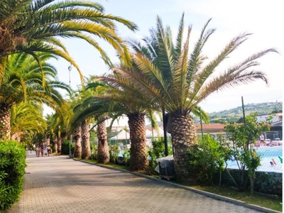 Cliquez pour découvrir toutes les photos de l'ÉTABLISSEMENT ! établissement Villaggio Lido D'Abruzzo photo 18
