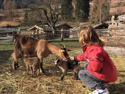 Cliquez pour découvrir toutes les photos de l'ÉTABLISSEMENT ! camping Park Baita Dolomiti And Village photo 20